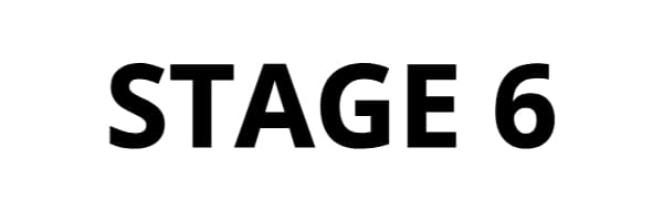 Stage 6